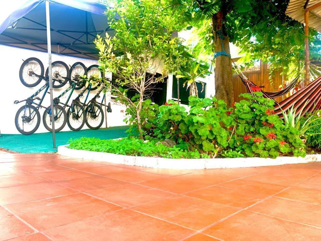 Hostal White House Galapagos Puerto Ayora  Ngoại thất bức ảnh