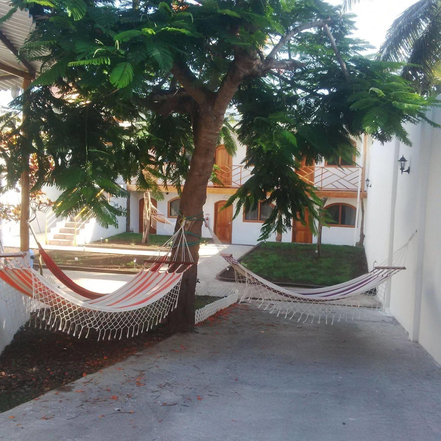 Hostal White House Galapagos Puerto Ayora  Ngoại thất bức ảnh