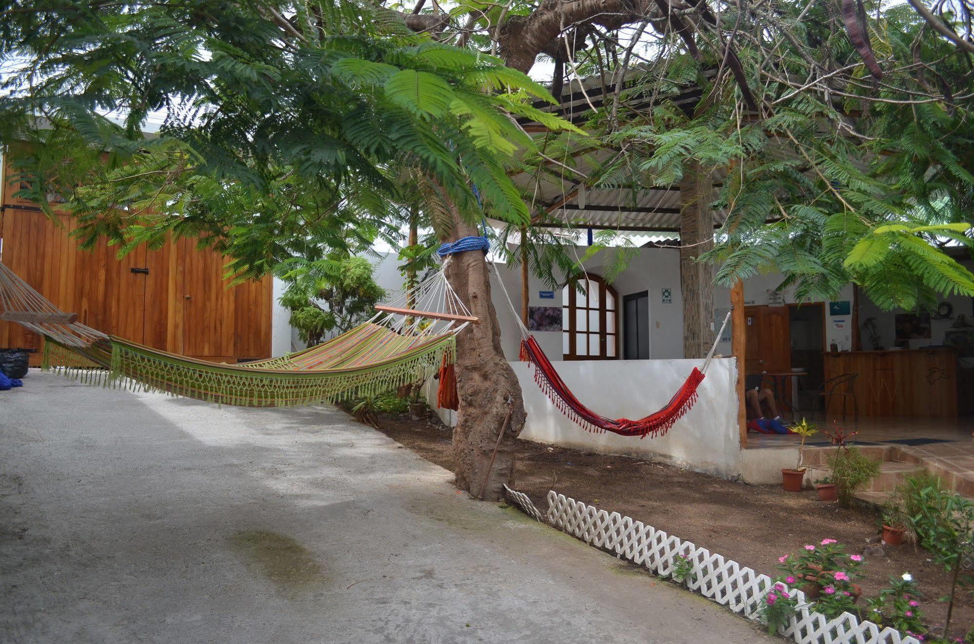 Hostal White House Galapagos Puerto Ayora  Ngoại thất bức ảnh